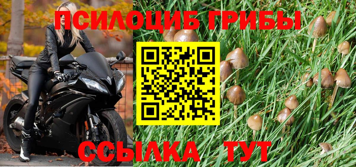 Псилоцибиновые грибы Magic Shrooms Егорьевск