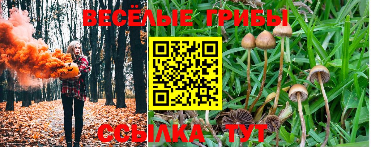 Егорьевск  Псилоцибиновые грибы Psilocybine cubensis  купить   Псилоцибиновые грибы мухоморы  Вход с VPN 